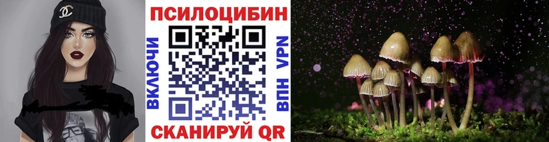 Галлюциногенные грибы мицелий  как найти закладки  Петровск 