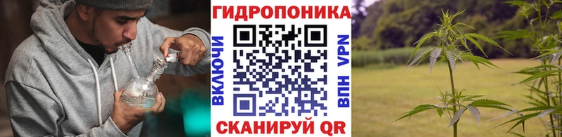 цены наркотик  Петровск  Марихуана план 